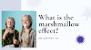 What is the marshmallow test effect? You are sacrificing your future!